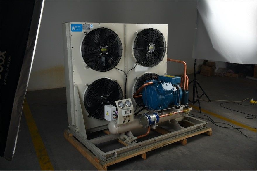 Frost Temp Monoblock Cold Room Condensing Unit Cooling System For Cold Storage