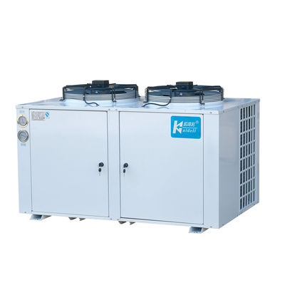 Niedrigtemperaturkühlmittel des kühlraum-Kühlgerät-kälteres Sitz-R22