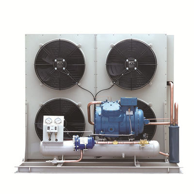 Einheits-Kompressor Soem Copeland 5 Pferdestärken-2hp kondensierendes