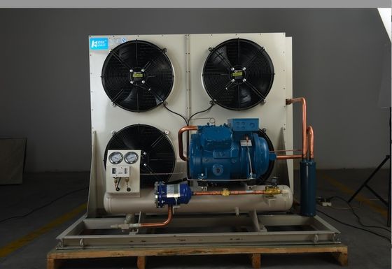 Kühlraum-kondensierendes Einheits-Kühlsystem Frost-Temp Monoblock für Kühlraum