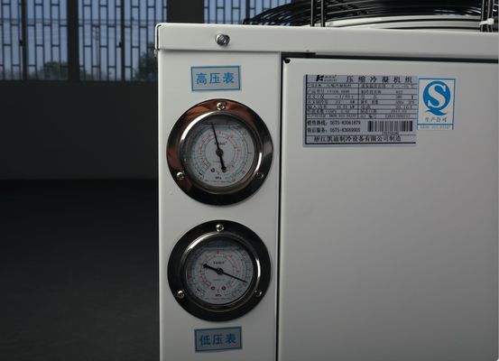 Kühlmittel des Copeland-Gefrierschrank-Raum-kondensierendes Einheits-Kompressor-404a