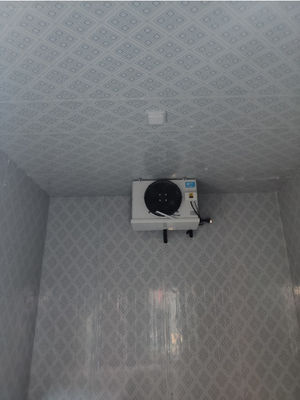 R507A R404a Kühlmittelkaltlager-Dampferkühlsystem